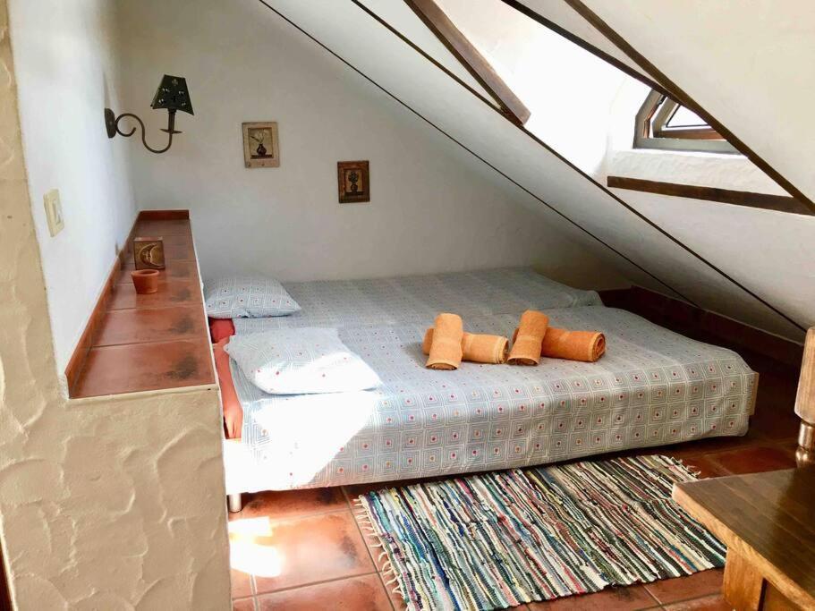Casa La Florida Apartment Calera Ngoại thất bức ảnh